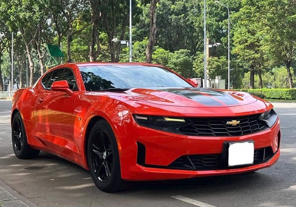 Thiết kế Camaro hạng sang - Hoa Hằng Trans