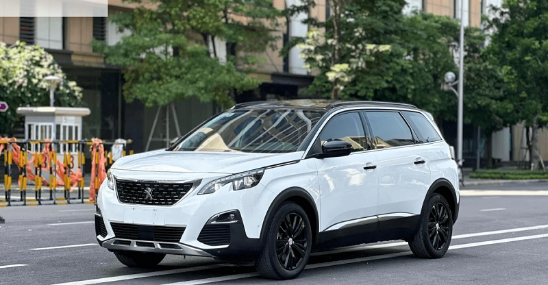 Thiết kế xe Peugeot 5008 - Hoa Hằng Trans